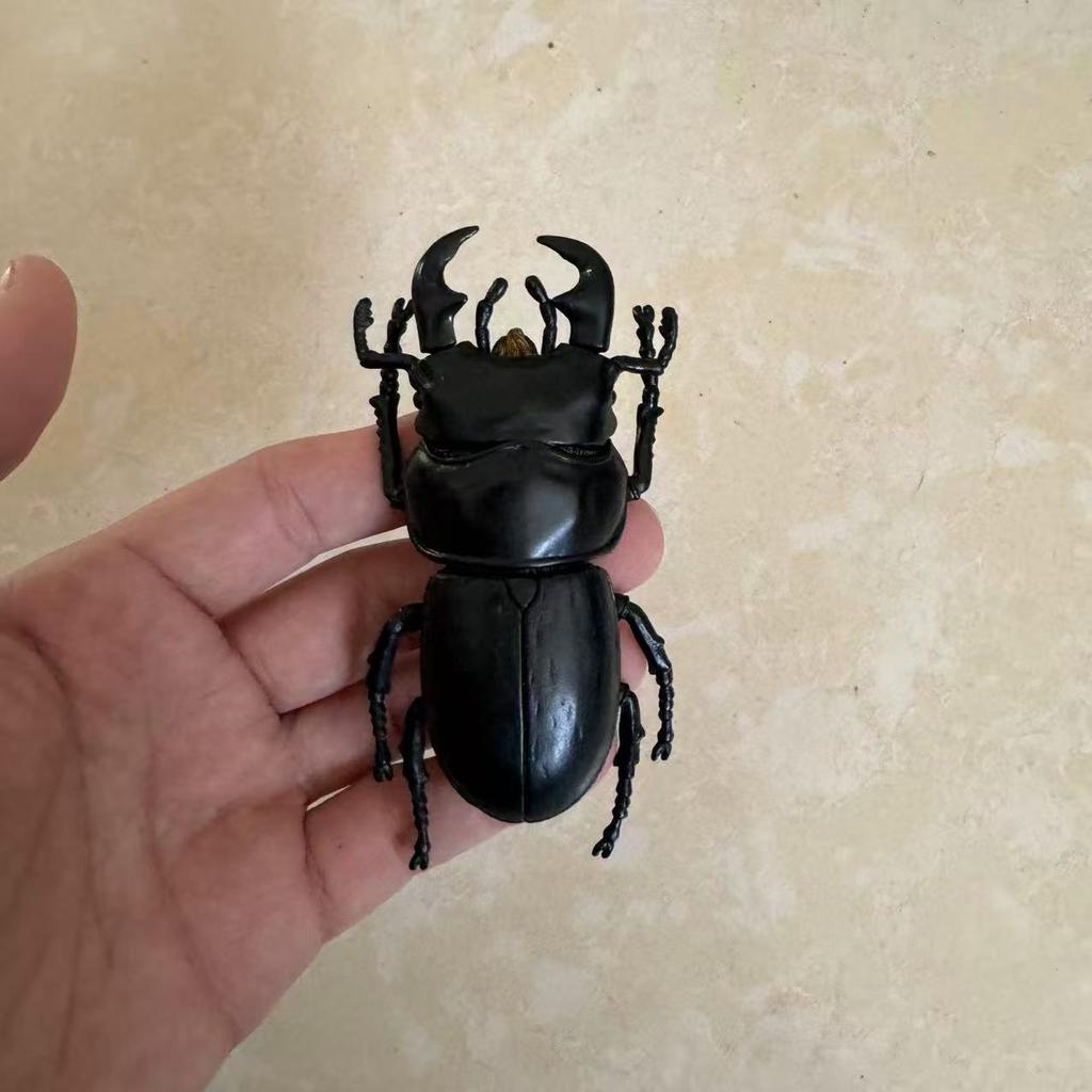 Biographical Analysis of Deer Antler Beetle and Claw Shaped Insect Beetle Gacha Simulation Animal Movable Joints Figure Toys