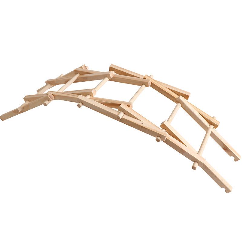 Elementary Science Experiment Wooden DIY Kit - Educational Toys