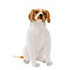 Exceptional Quality 15.8" Lifelike Stuffed Dalmatian Dog Cuddly And Adorable