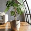 Weather-resistant Acrylic Plant Bracket Transparent Plants Growth Stand  Indoor Plants