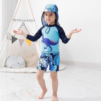 Jungen Langarm Geteilter Cartoon Dinosaurier Badeanzug Set