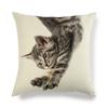 Cartoon Cat Pattern Series Super Soft Cotton and Linen Material Pillow Cover for Home Sofa Decoration Pillow Cover