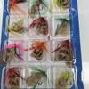 12 Fly Hooks