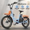 Hidoes C6 Electric Bike, 250W Motor, 36V 13Ah Battery, 20*3 Inch Tires, 25km/h Max Speed, 35km Range, Front & Rear Mechanical Disc Brakes