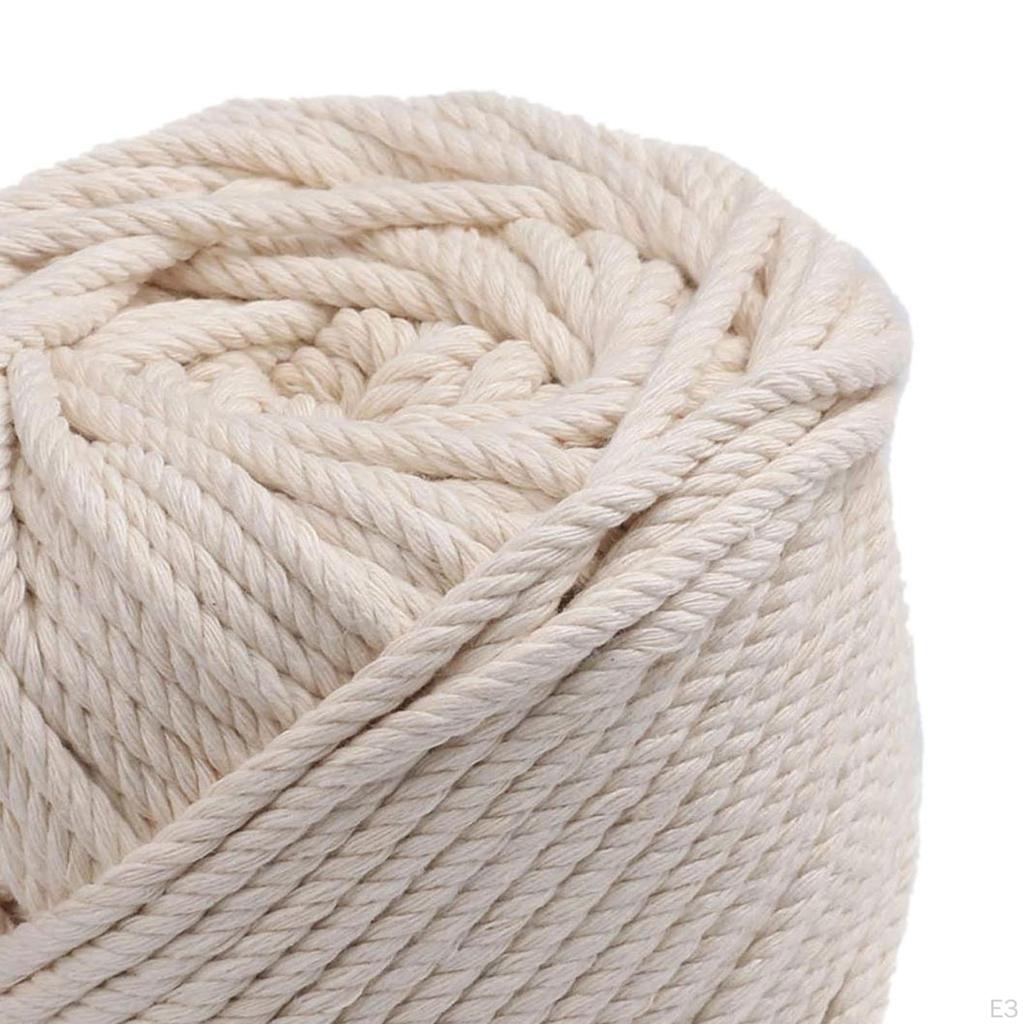 Hanger Manual Cord Flowerpot Holder Rack 100cm Home Outdoor Inddor Garden Wall Decorative Countyard