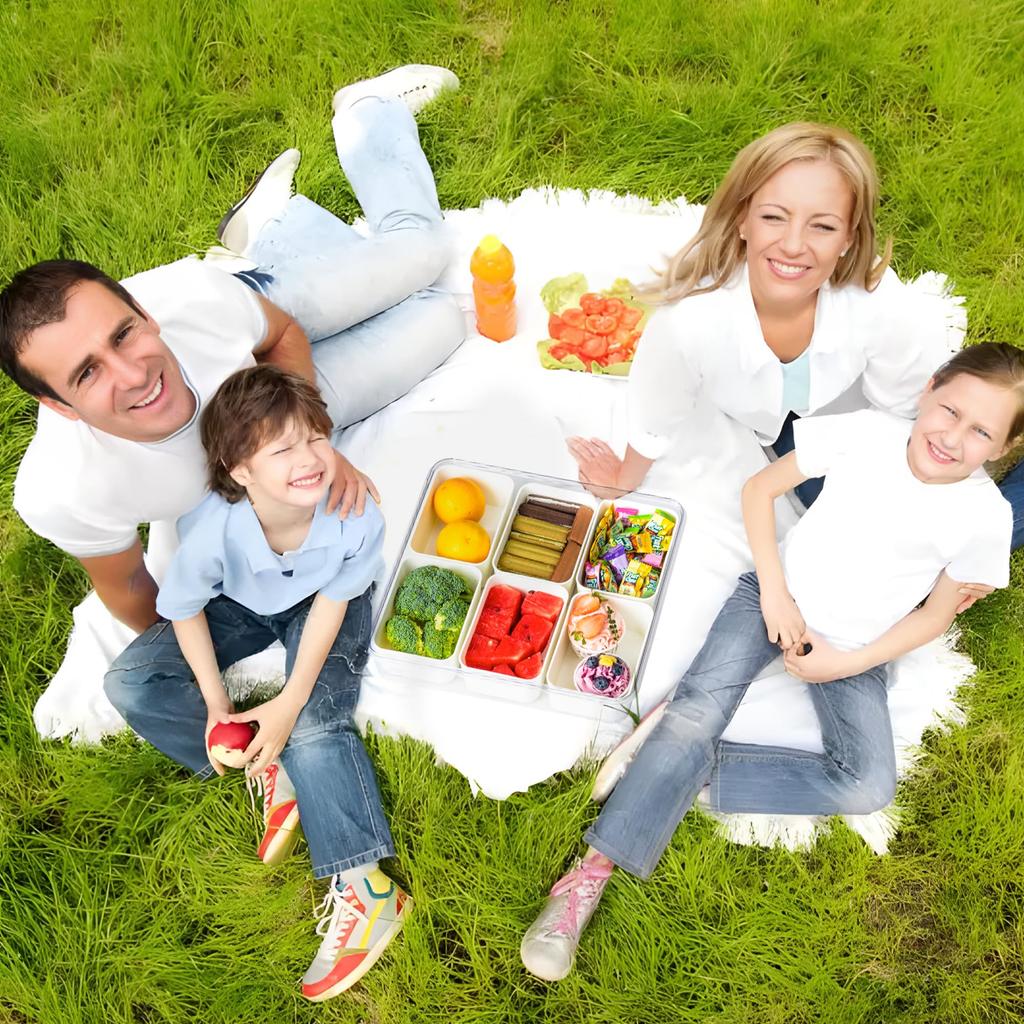 Portable Snackle Box Container Divided Serving Tray with Lid and Handle Clear Snack Box Organizer for Fruits Snacks for Party