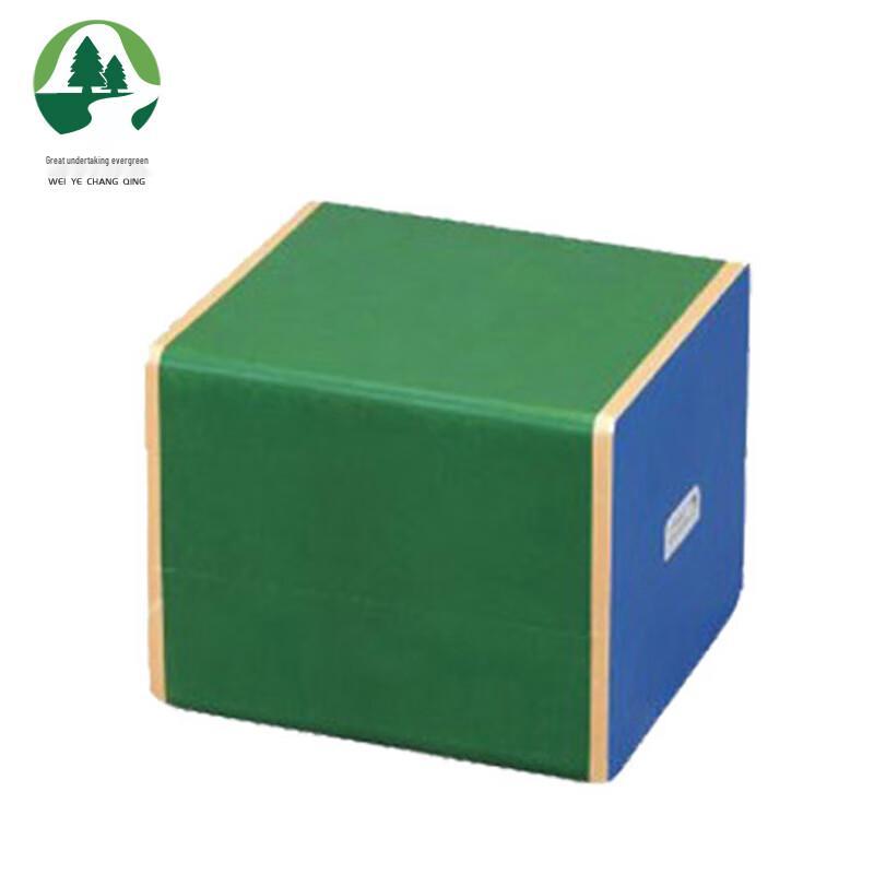 Weiye Changqing TZCS-3 Student Physical Fitness Step Tester