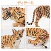 TOYMANY 6-Piece Tiger Figure Set, Animal Figures, Tiger Toys, Wild Animal Models, Parent-Child Friendly, Home Decor, Realistic Models, Popular Toys,