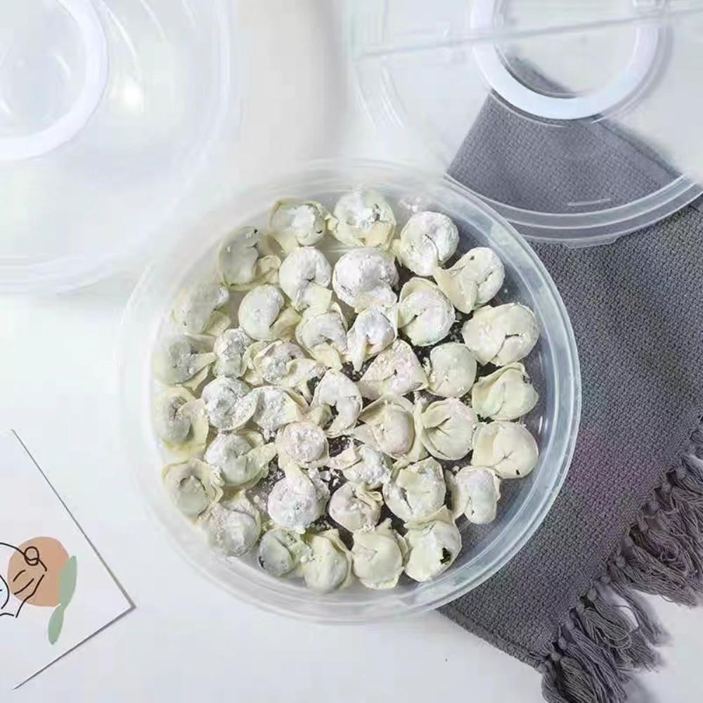 Multilayer Food Storage Container Clear Round Dumpling Box Dumplings Organizer Freezing