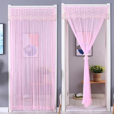 Living Room and Home Kitchen Partition Curtain Lace Anti-mosquitoes Door Curtain Astoral Four Seasons Home Use Curtain