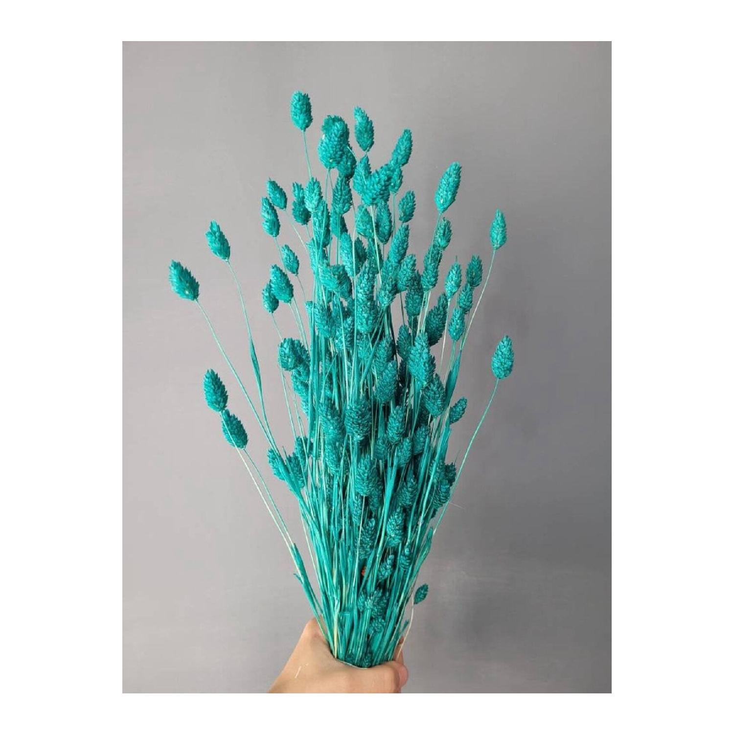 

Декоративная ваза с сушеной зеленой звездчаткой Palaris Flower, 30 веток