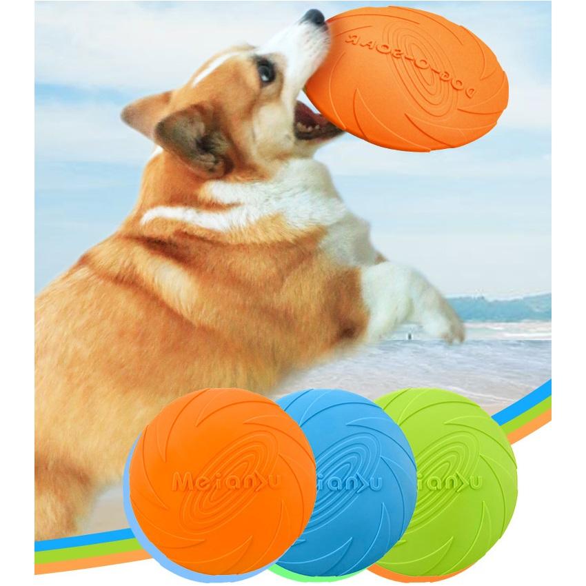 dog frisbee shop