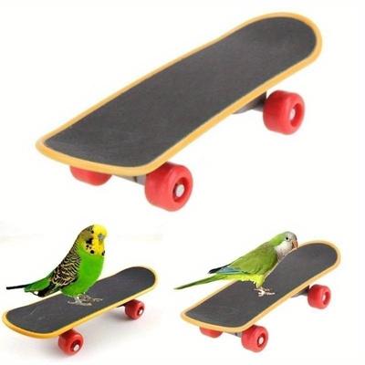 Hračky pro papoušky pro ptáky, inteligenční hračky, mini tréninkové skateboardové hračky pro papoušky, růstové hračky