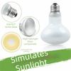 110/220V Daylight Heat Bulb 25/50/75/100W Basking Light Pet Daylight Lamp  Lizard Habitat