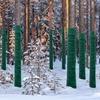 3 Rolls Winter-Proof Tree Protector Wraps Antifreeze Trunk Guard for Trees & Shrubs Fruit Tree Young Saplings Stems Pest Control