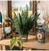Artificial Plants PVC Snake Plant Simulate Leaf Outdoor Indoor DIY Decoraction For Home Garden Party Graduation Ceremony Decor