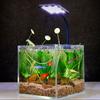 Adjustable Fish Tank Light 360° Rotatable Fish Tank Clip Lamp Full Spectrum Lamp  Aquarium Plants