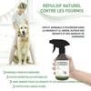 RepellShield Spray Anti Fourmis Naturel - Pour Extérieur Et Intérieur, 250 Ml