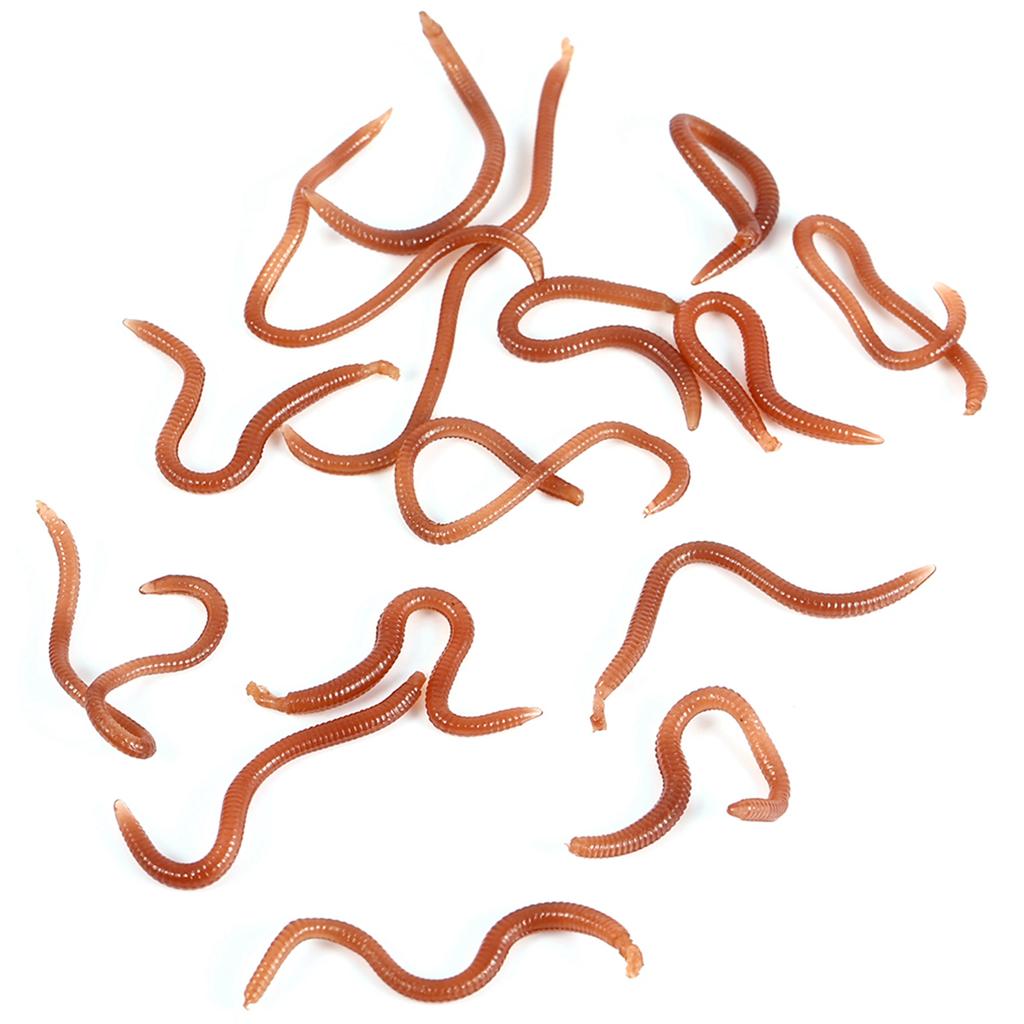 10cm Worm Shaped Fishy Smell Soft Fishing Lure Baits With Box For Fishermen