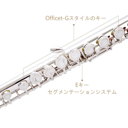 BQKOZFIN 16-Hole Woodwind Flute in C Key, Beginner Set with E-Mechanism, Nickel-Plated Cupronickel, for Brass Band Practice, Suitable for Beginners, A