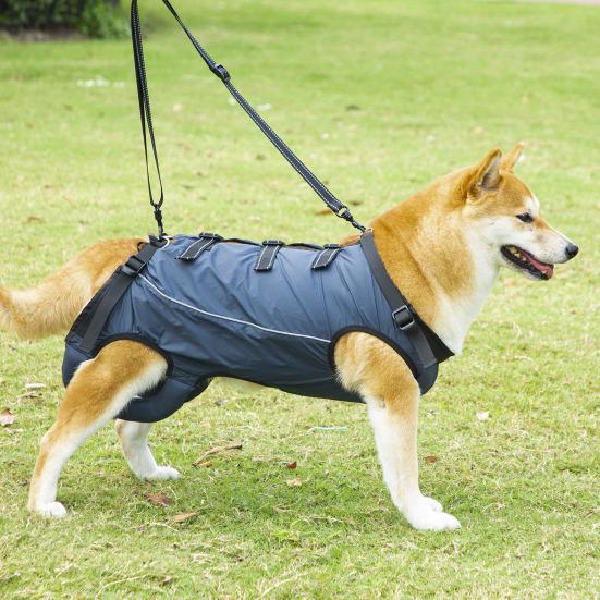Nastavitelný zvedací postroj pro psa Pohodlný zvedací pás pro psa Prodyšná podpůrná smyčka pro staré, postižené, poranění kloubů, artritidu, procházku psa
