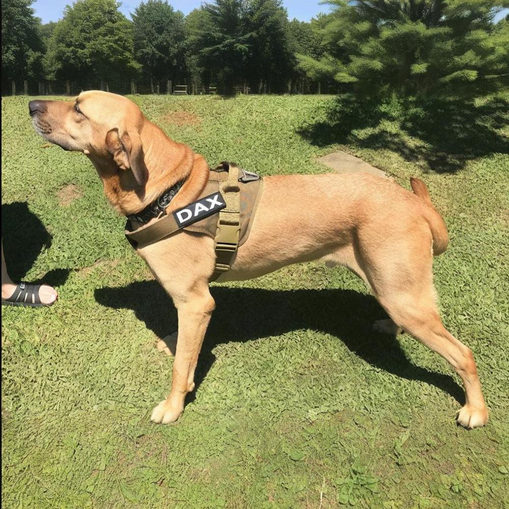 Taktische Hundeweste Training Militär Patrouille Diensthunde Geschirr Verstellbares Nylon Hundegeschirr mit Griff Hund Sommerkleidung