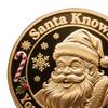 You Ain't Getting Shit Coin Funny Santa Claus Middle Finger Coin Novelty Metal Christmas Commemorative Challenge Coin Gag Gift for Friends