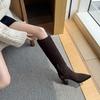 8.5CM European popular high boots 2025 autumn and winter new pointed thick heels but knee thin elastic boots women