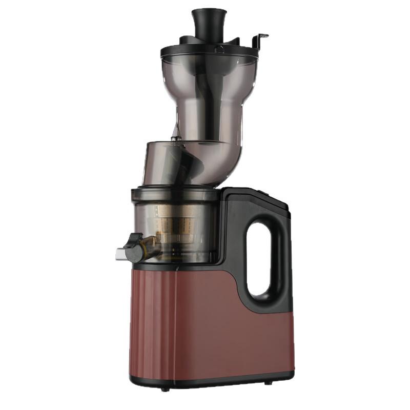 ZISIZ Large Caliber Slow Juicer