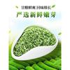 Green Tea Biluochun Tea Spring Tea Organic Fresh Chinese Bi Luo Chun 250g Tin