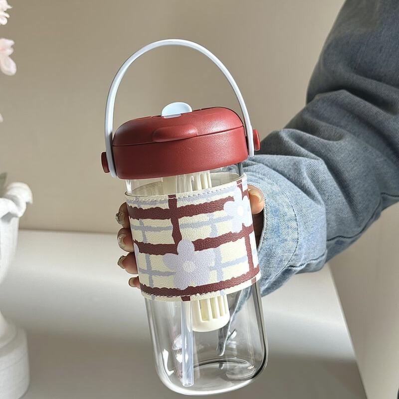 Ailan Huijia WY Portable Glass Straw Water Bottle 620ml