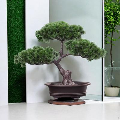 Begrüßung Baum Topf Pflanze Bonsai Dekorative Roman Und Einzigartige Multifunktionale Desktop Display für