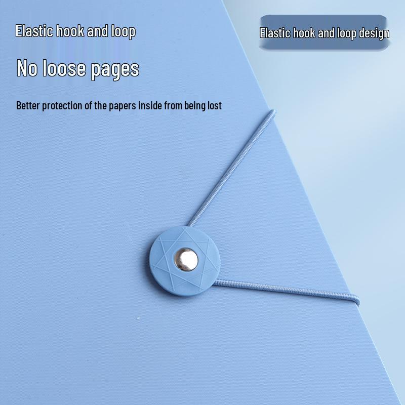 Morandi Transparent A4 Dokumenthållare Mapp för Studenter, Noter & Rapporter