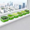 2Pcs Plastic Germination Tray Double Layer Hydroponic Planting Tray  Indoor Outdoor