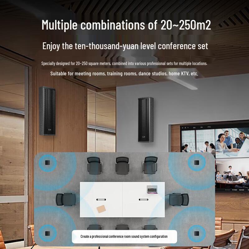 SAST SH-413 Professional Passive Wall-Mounted Conference Speaker System CN plug (adapter included)