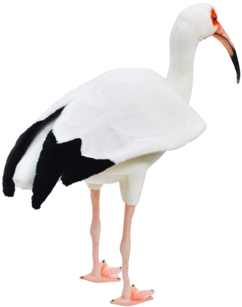 BH8192 HANSA White Ibis 54