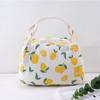 Cartoon Insulated Lunch Bag Waterproof Food Container Bag Gifts Thermal Food Pouch  Women
