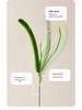 Foxtail Grass Cat Teaser Wand: Durable Long Rod Toy for Self-Play and Boredom Relief