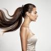 New 1st Choice Clincher Combs Banana Clips - Hair Grip Comb, Fishtail Ponytail Clamp, Long Hair Accessory for Girls and Women
