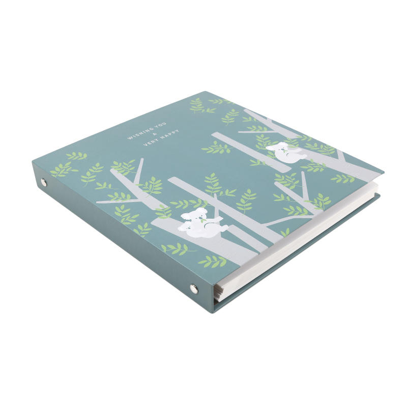Žāvētu ziedu uzglabāšanas albums Sējējs Scrapbooking