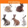 Simulated White Gray Brown Wild Rabbit Model Desktop Ornament For Children