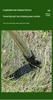Long-Handle Foot-Operated Weeding Shovel & Hook