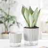 Transparent Self-Watering Plants Pot With Water Container Flower Pot Green Plants Succulent Planter For Garden Home Bonsai Decor