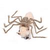 Cats Dog Funny Spider Cosplay Animal Costume Arachnid Soft Comfortable Costume Accessories Dress Up