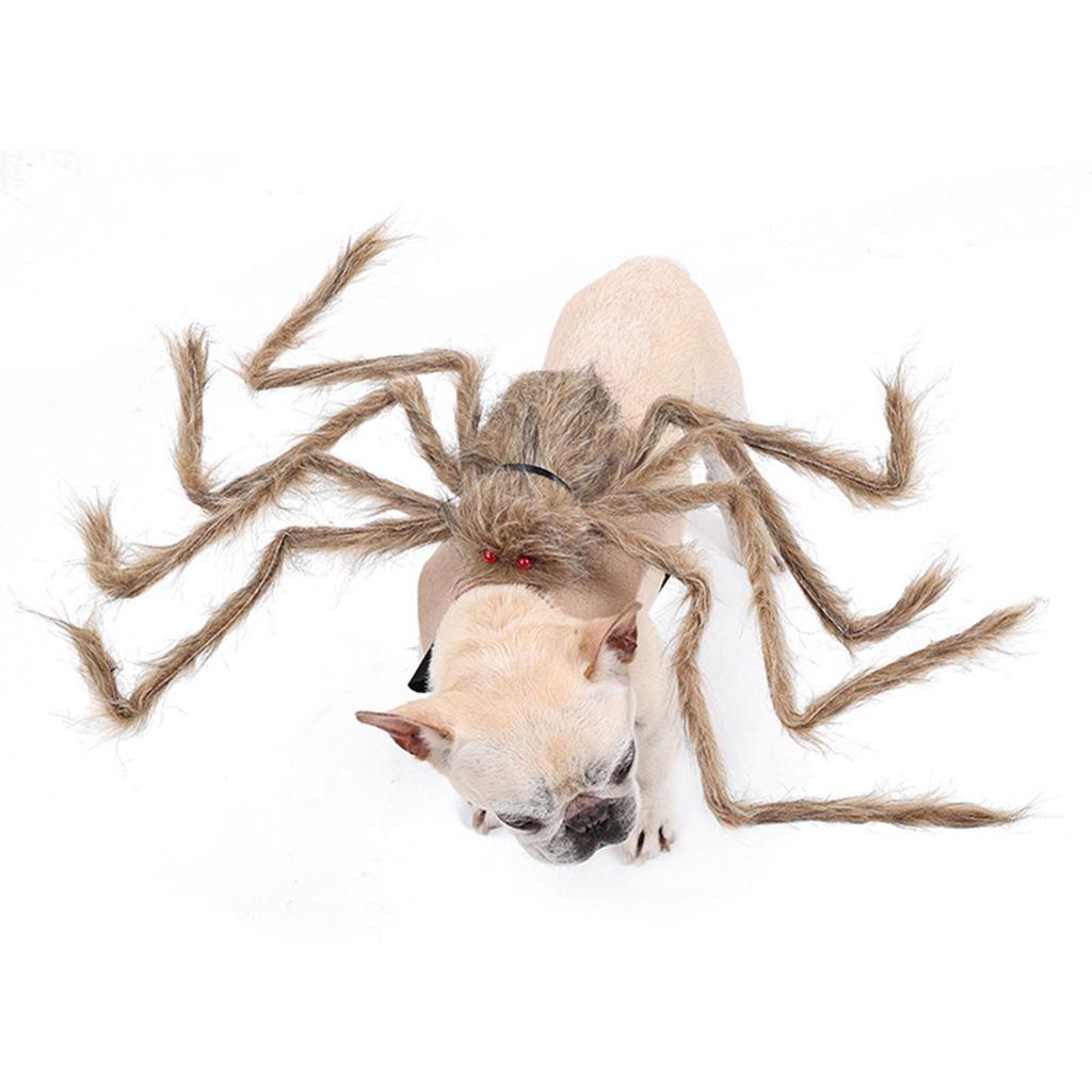 Cats Dog Funny Spider Cosplay Animal Costume Arachnid Soft Comfortable Costume Accessories Dress Up