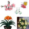 10 stykker / Rull Strekkbare Nylonstrømper DIY Blomsterlaging Håndlagde Håndverksmaterialer