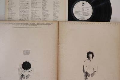 LP Record DONOVAN - Essence To Essence ECPM41PROMO EPIC Japan Rock Used