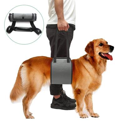 Köpek Yardımı için Saplı Köpek Askısı, Rehabilitasyon için Veteriner Onaylı Köpek Asansörü, Yaşlı veya Engelli Evcil Hayvanın Merdivenlerden Yukarı Çıkmasına Yardım Edin