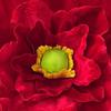 3D Fabric Floral Photography Accessory for Celebrations Red Wedding Decor