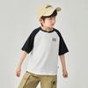 Boy's Color Block Raglan Sleeve Letter Print Ice Cotton T-shirt
